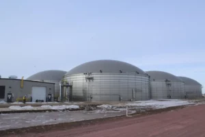 Four anaerobic digesters sit between two dairies north of Beresford, S.D. They use manure from 15,000 cows to make biogas for natural gas fleet vehicles in California. The farmer gets paid and the facility owners, DTE Vantage, make money off of renewable fuel credits.